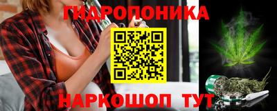 дурь Владимир
