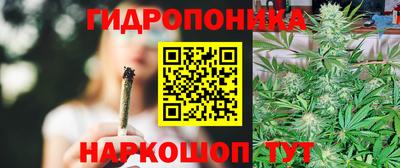 гидра Боровичи