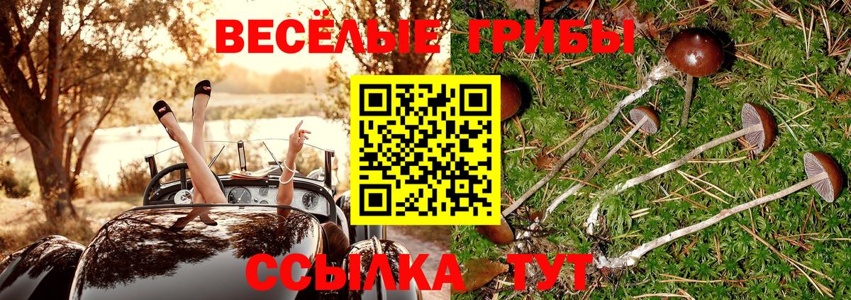 Галлюциногенные грибы GOLDEN TEACHER Сыктывкар
