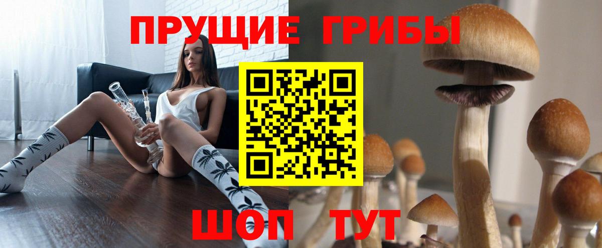Псилоцибиновые грибы Psilocybine cubensis  Галлюциногенные грибы MAGIC MUSHROOMS  Вход с VPN  Сыктывкар 